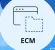 FM - ECM